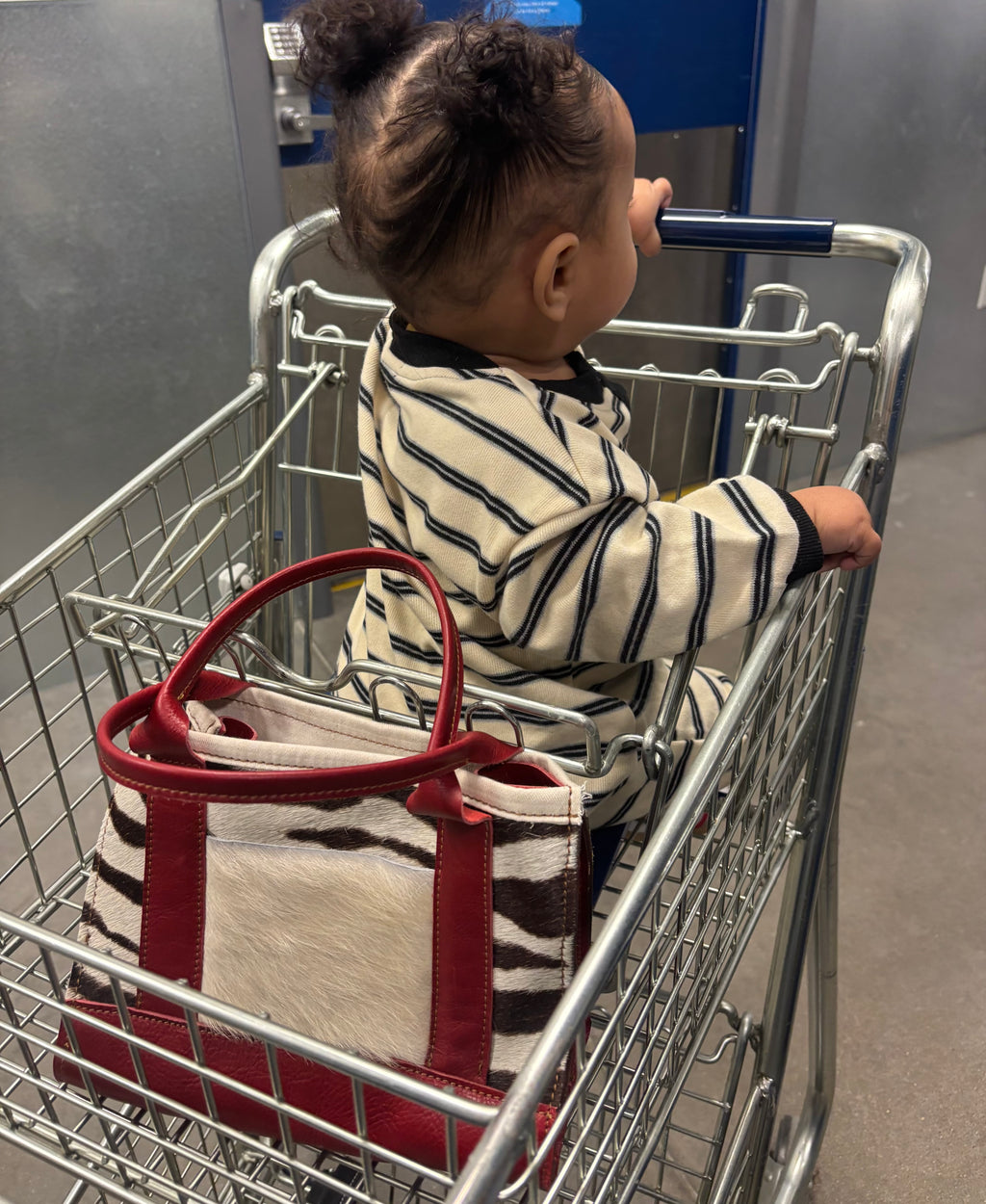 Wild & Free Hide Mini Tote